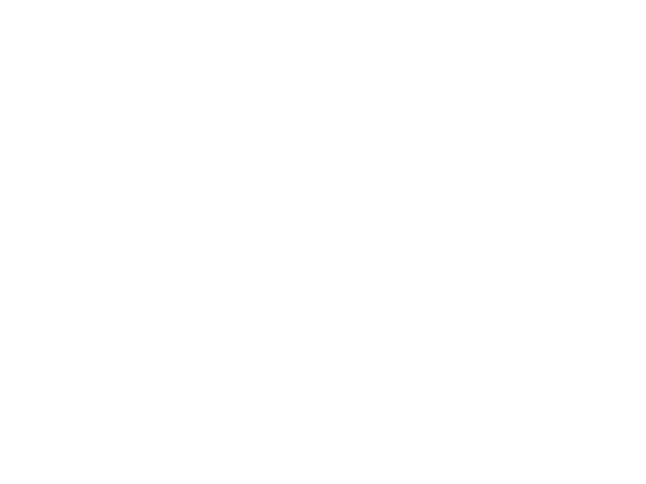 Sublime Fashions White Damask Icon - Powell River BC Womens Clothing Store